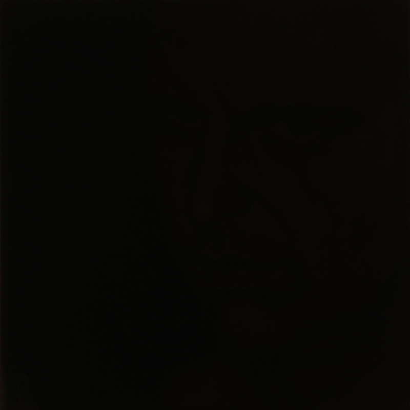 Benjamin Cottam - Untitled (exh07 #1), 2007