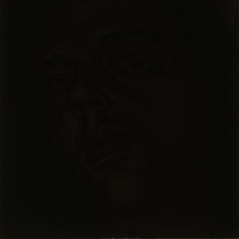 Benjamin Cottam - Untitled (exh07 #2), 2007