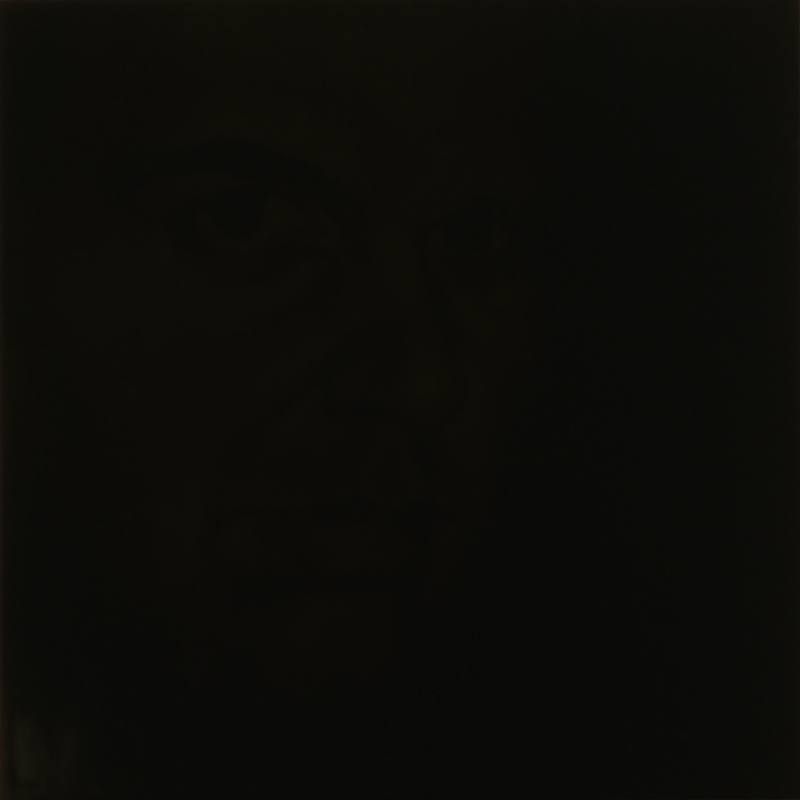 Benjamin Cottam - Untitled (exh07 #4), 2007